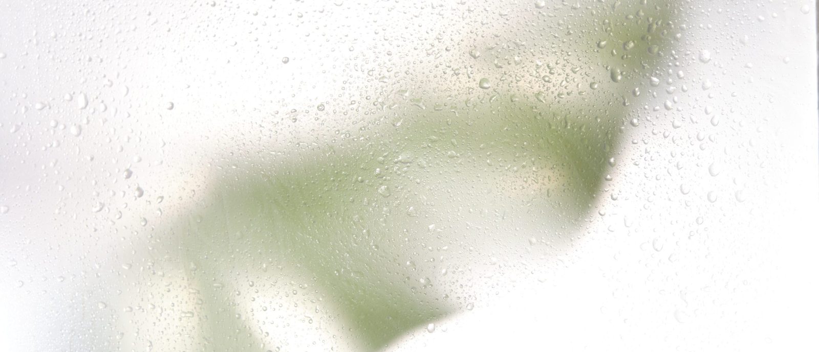 monstera leaves shadow effect. blurred picture with fog effect of palm leaves silhouettes behind. selective focus.