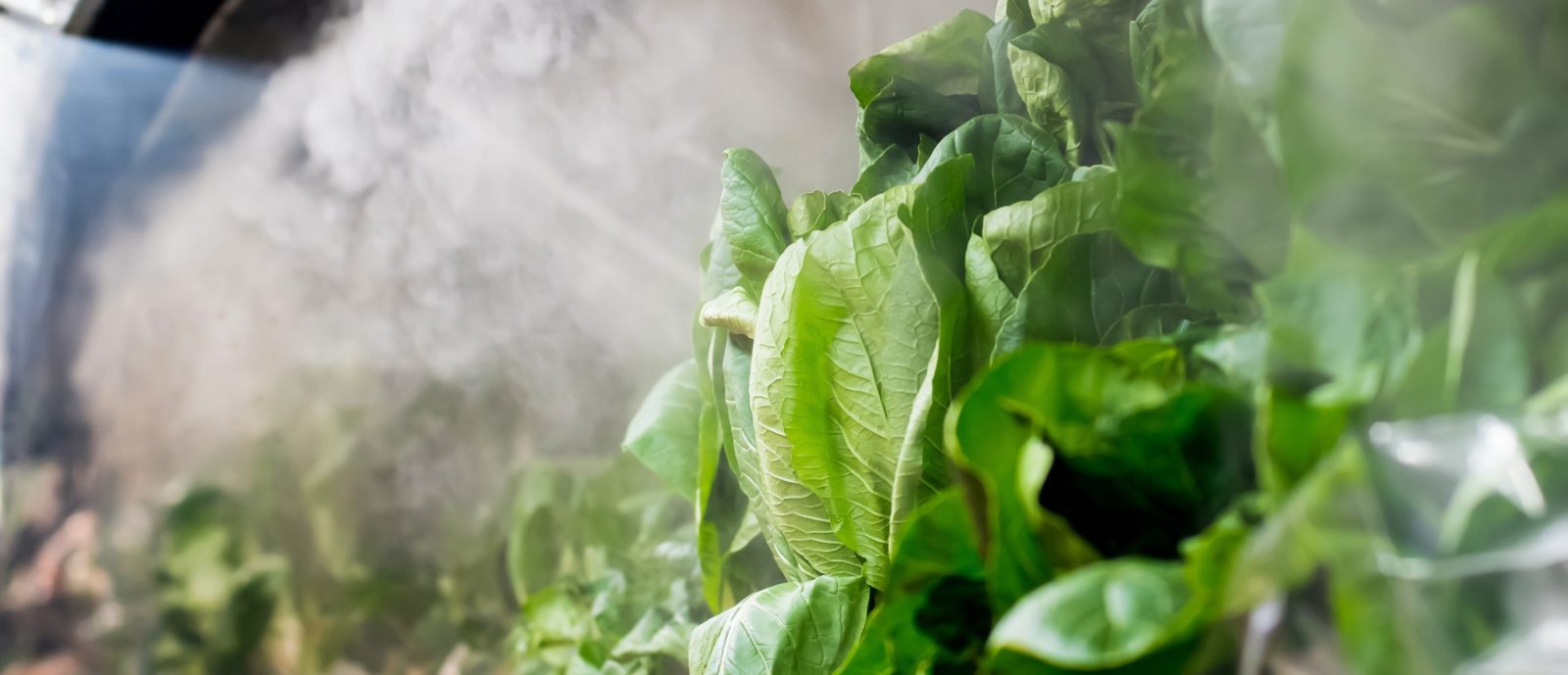 fresh-green-lettuce-at-the-supermarked-sprayed-wit-2025-01-07-22-15-16-utc